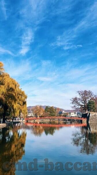 杏彩2平台入口-杏彩2平台入口，探索数字娱乐的新境界